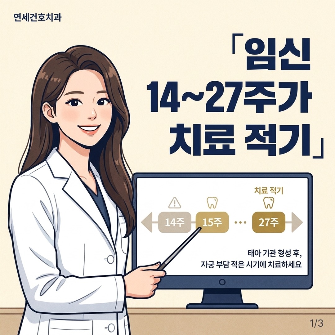 임산부 치과치료 적정 시기 안내하는 치과 전문의 일러스트
