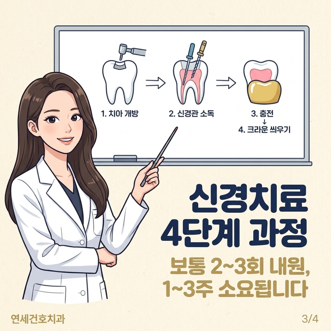 신경치료 기간 및 단계별 과정 설명 인포그래픽