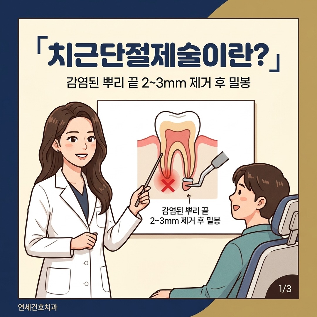 치근단절제술 원리 설명하는 치과 전문의와 치아 뿌리 단면도